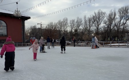 Мобильный каток Villa Dei Fiori фото 2