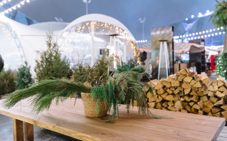 Мобильный каток La Raquette фото 13