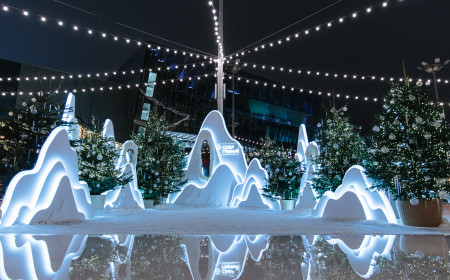 Мобильный каток La Raquette фото 16