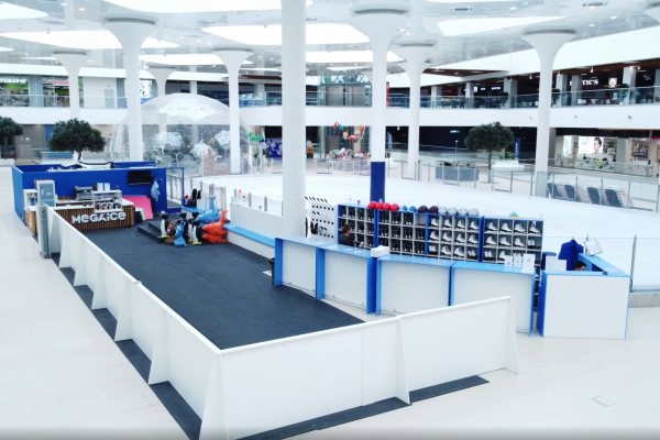 Строительство крытых катков  фото 0