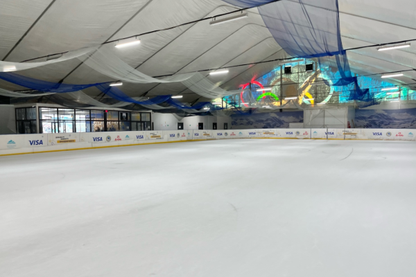 Строительство крытых катков  фото 1