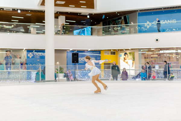 Строительство крытых катков  фото 4